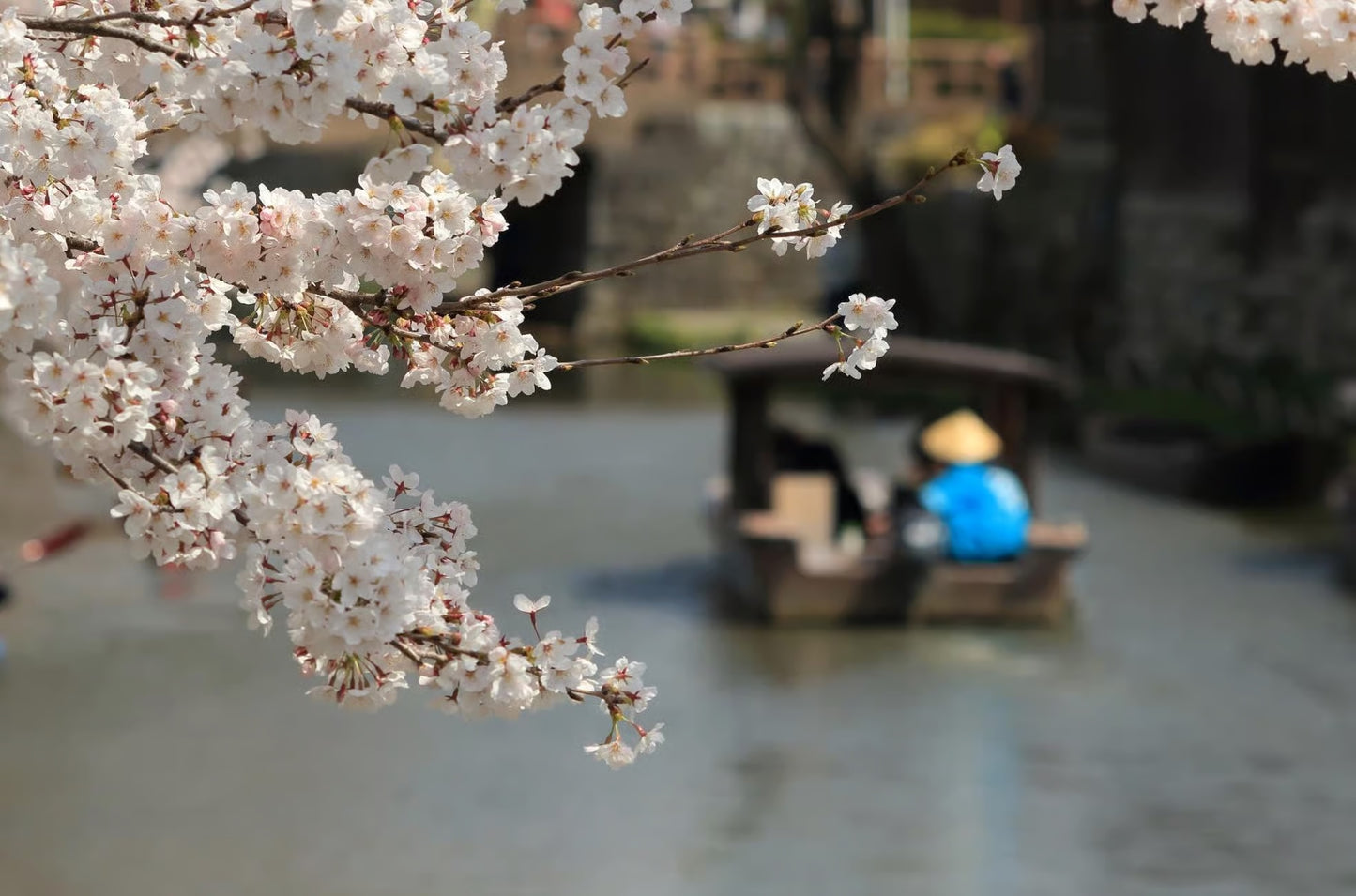 Visit the Biwa Pearl Farm