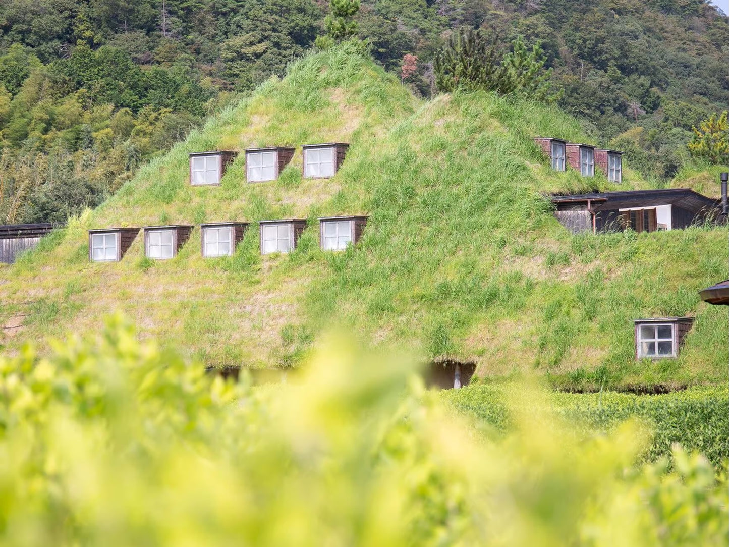 Visit the Biwa Pearl Farm